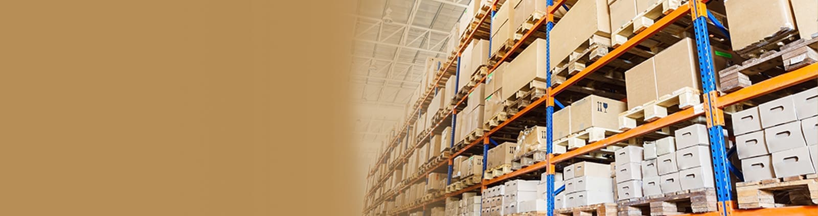 Boxes on Pallets and Shelves in Warehouse