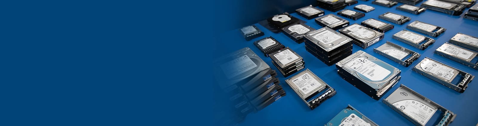 Close-Up Server Trays