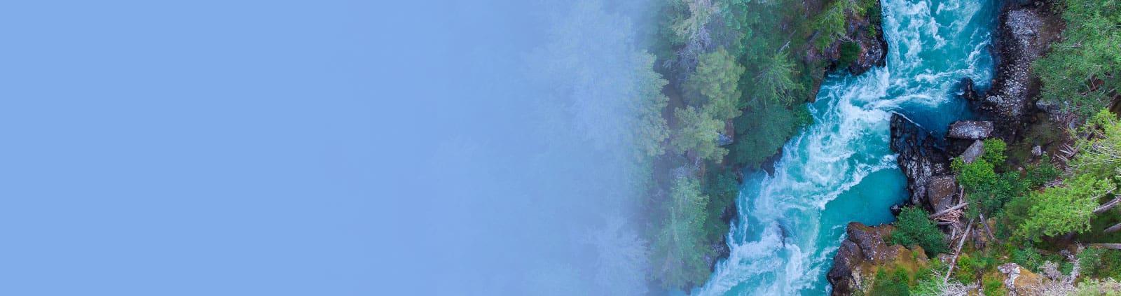 Clear water flowing through stream with trees on either side