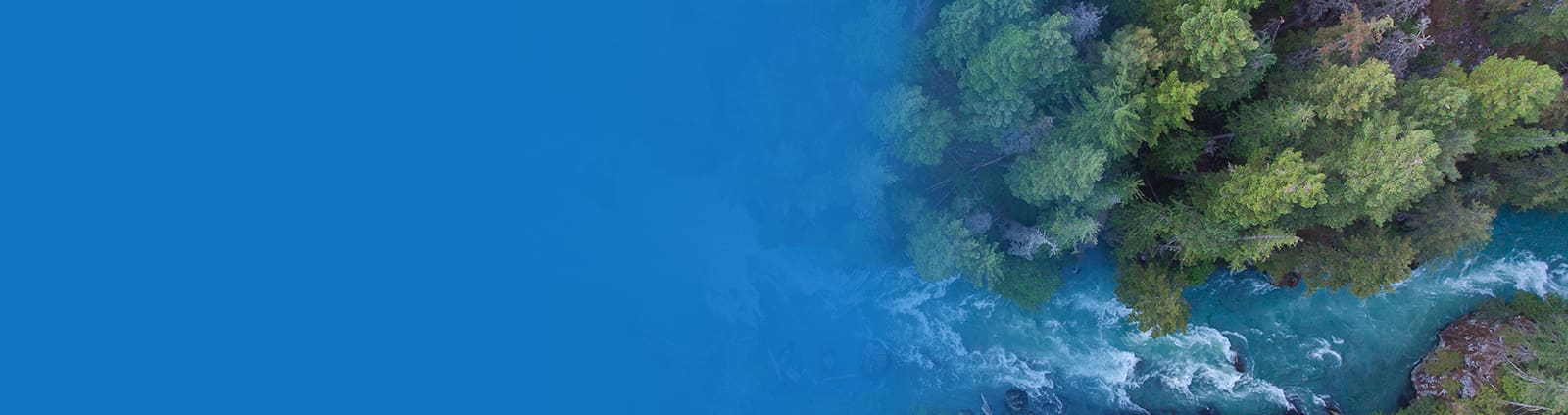 An aerial image of a stream flowing through a forested area